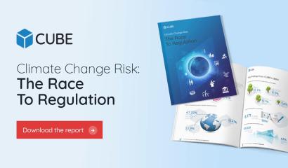 Climate Change Risk: The Race to Regulation
